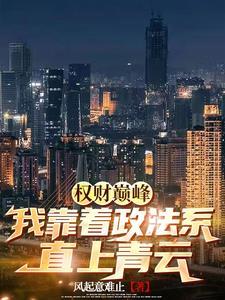 权财巅峰:我靠着政法系直上青云 权财巅峰:我靠着政法系直上青云