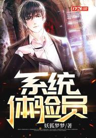 系统体验员 系统体验员